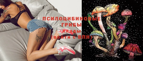 альфа пвп Горно-Алтайск