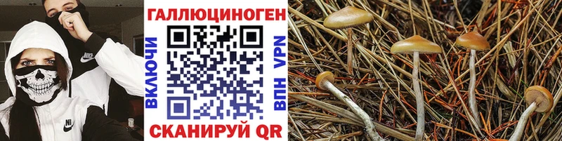 Галлюциногенные грибы мухоморы  гидра зеркало  Облучье  купить  